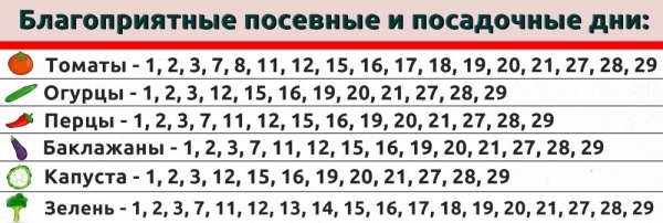 Лунный календарь огородника: лучшее время для посева рассады в феврале 2024 года