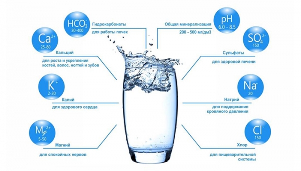Какие полезные микроэлементы содержатся в воде