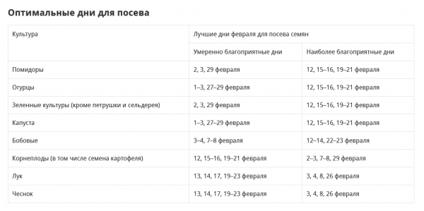 Что посеять в благоприятные дни февраля 2024 года согласно посадочному календарю