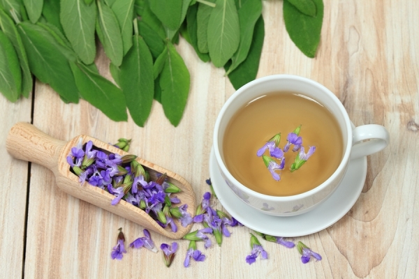 Лучшие успокоительные чаи для нервной системы