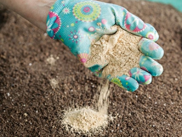 Что нужно сделать, что раскислить почву весной, почему это важно