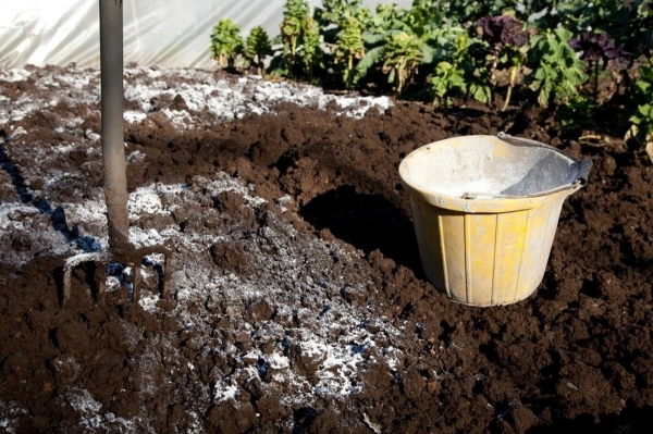 Что нужно сделать, что раскислить почву весной, почему это важно