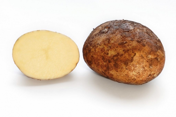 Картофель от бородавок