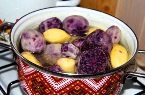 Синий (фиолетовый) картофель: полезные свойства, способы приготовления