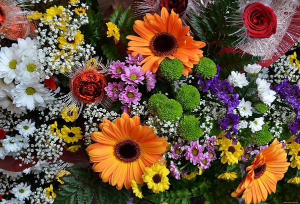 Краткий словарь «языка цветов»: что символизируют разные виды и оттенки растений, как помогут передать чувства