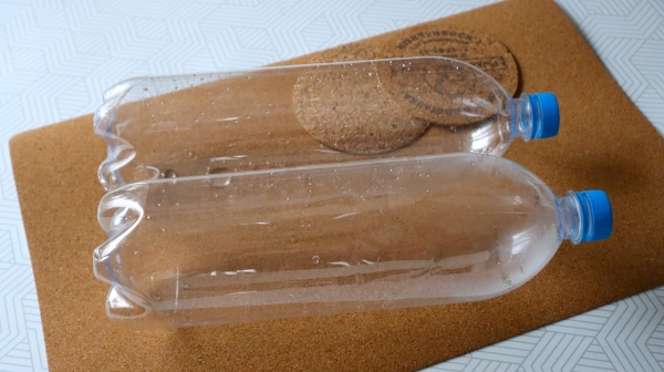 Как правильно прорастить чеснок в пластиковой бутылке дома