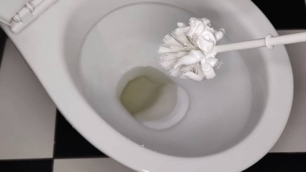 Какое средство поможет легко избавиться от неприятного запаха в туалете