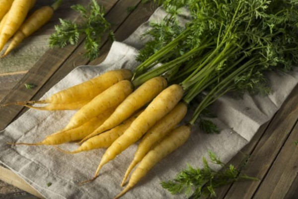 Польза и вред желтой моркови