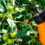 Какие препараты спасут помидоры от фитофторы: проверенная схема